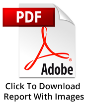 PDF Report With Images